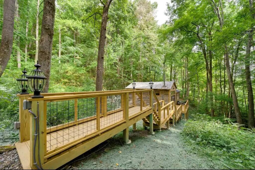 Outdoor Enthusiast'S Dream Cabin Hiking & Rafting Hot Springs المظهر الخارجي الصورة